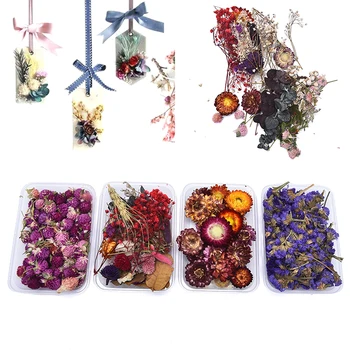 1 Коробка Настоящих сушеных цветов, сухих растений для ароматерапии, свечи, Поделки, аксессуары, Подвеска из эпоксидной смолы, ожерелье, Изготовление ювелирных изделий